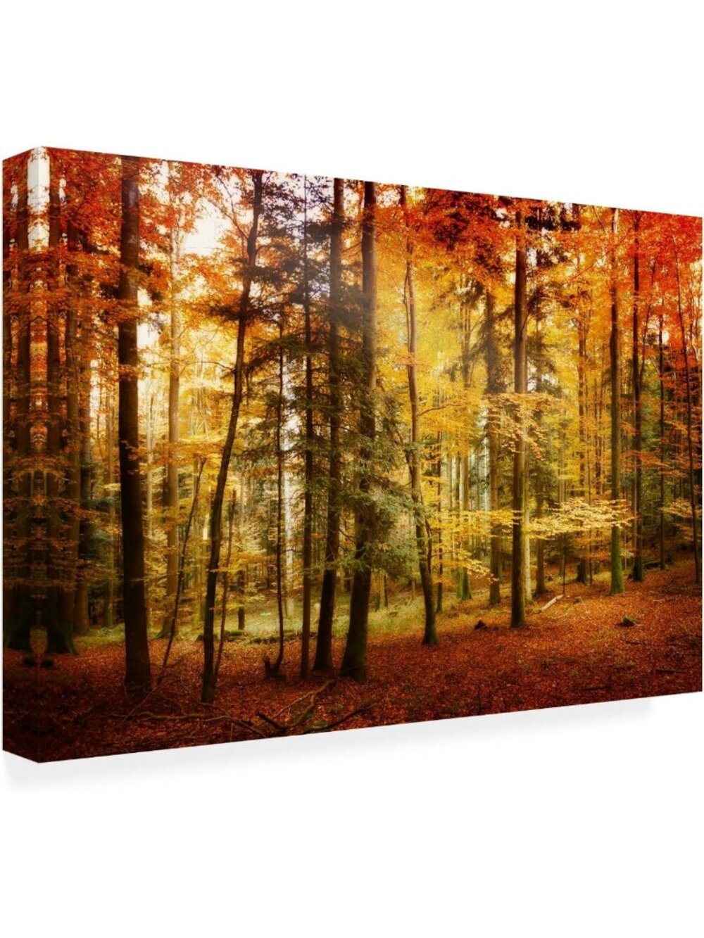 Vibrant Fall Color Canvas Wall Art, 30x47 Inch, Stunning Nature Decor Piece